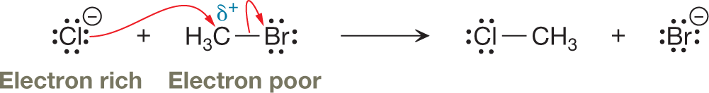 A chemical reaction shows a proton transfer step to check for electron-rich and electron-poor species in the reaction. It shows a chloride anion carrying four lone pairs of electrons interacting with a methyl group with delta plus single-bonded to bromide and interacting with it and carrying three lone pairs of electrons. The resultants show chloride carrying three pairs of lone electrons single-bonded to a methyl group and a bromide anion carrying four lone pairs of electrons.