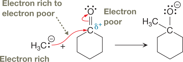 A chemical reaction represents a problem of nucleophilic addition step to check for possible electron-rich and electron-poor sites. The reaction shows a methyl group, with carbon atom of the methyl group containing a lone pair of electrons carrying a negative charge which is a electron rich group is interacting and reacting with a benzene ring, with carbon atom with delta plus group which is a electron rich to electron poor group and at its ipso-position linked to an oxygen atom by a double bond and the double bond is interacting with oxygen. The product shows electron poor group which is a cyclohexane ring with a carbon atom bonded to it. The carbon atom is bonded to a methyl group where the carbon atom is further bonded to oxygen atom with three lone pair of electrons which carries a negative charge. 