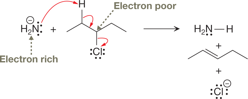 A chemical reaction represents the bimolecular elimination step, E2 step to check for electron-rich and electron-poor sites. The chemical reaction shows the nitrogen atom of an amino group which is a electron rich group carrying two lone pairs of electrons which is interacting with hydrogen atom and a negative charge reacting with a chain of five carbon atoms carrying a hydrogen atom at carbon-2, and the single bond is interacting with chlorine atom and the chlorine atom carrying three lone pairs of electrons at carbon-3. The single atom is interacting with other single atom which is an electron poor group. The resultants show addition of hydrogen atom to the nitrogen of the amino group carrying a lone pair of electrons by a single bond; a five-carbon chain with a double bond between carbon 2 and 3; and a chlorine anion with four lone pairs of electrons.