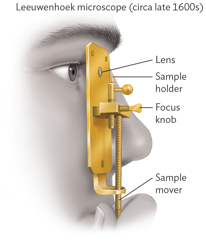 A diagram of the Leeuwenhoek microscope, circa late 1600s.