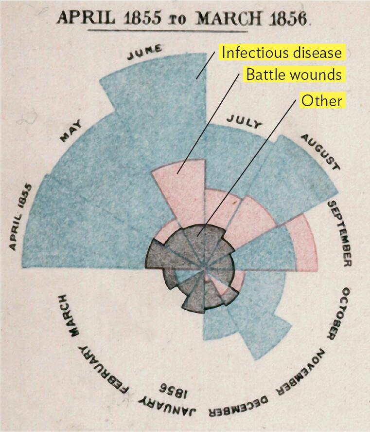 A photo of Florence Nightingale’s polar area chart of mortality data during the Crimean War.