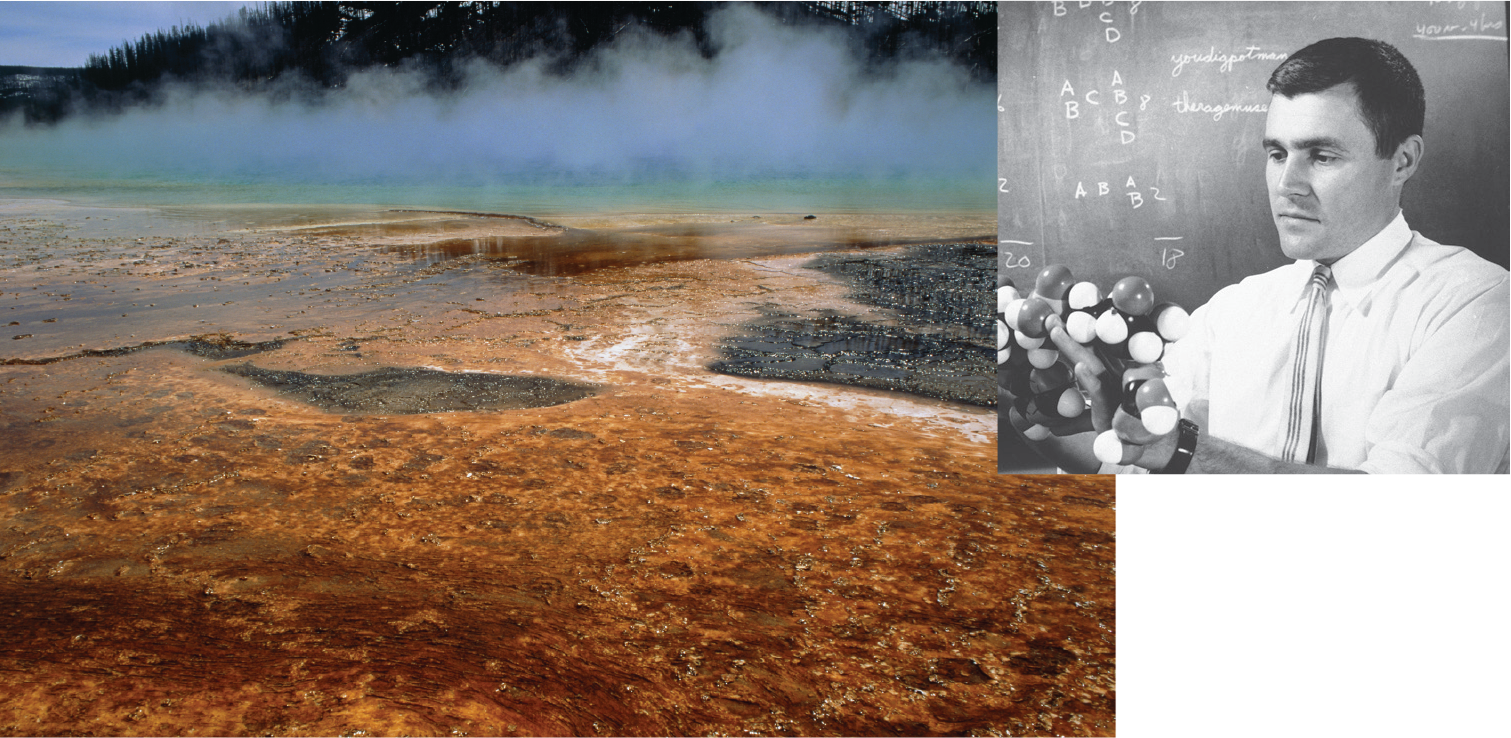 A photo of hot springs in Yellowstone National Park and a historic photo of Carl Woese.