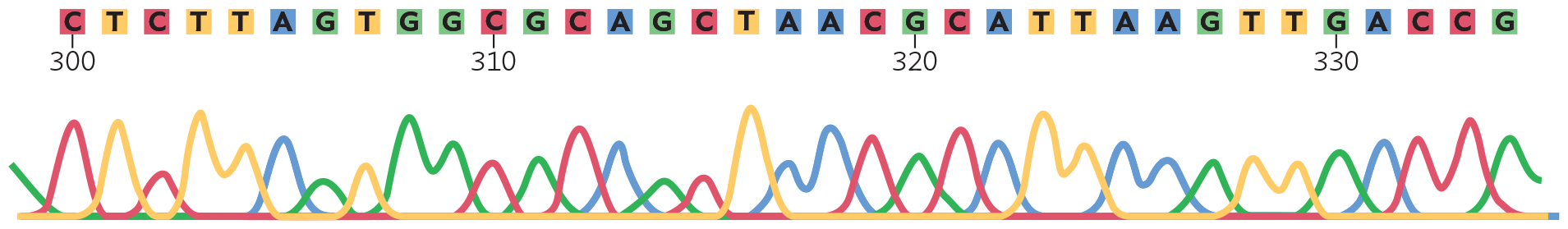 An illustration of sequenced D N A data.