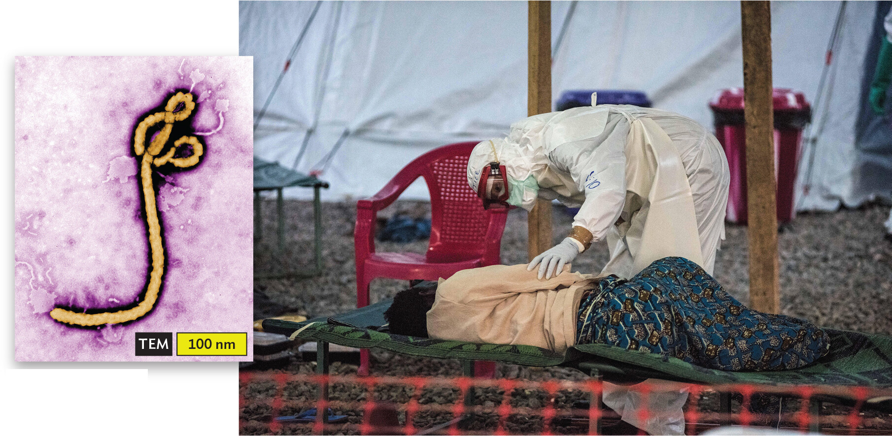 A micrograph of the Ebola virus and a photo of a healthcare worker attending to a patient with Ebola virus.