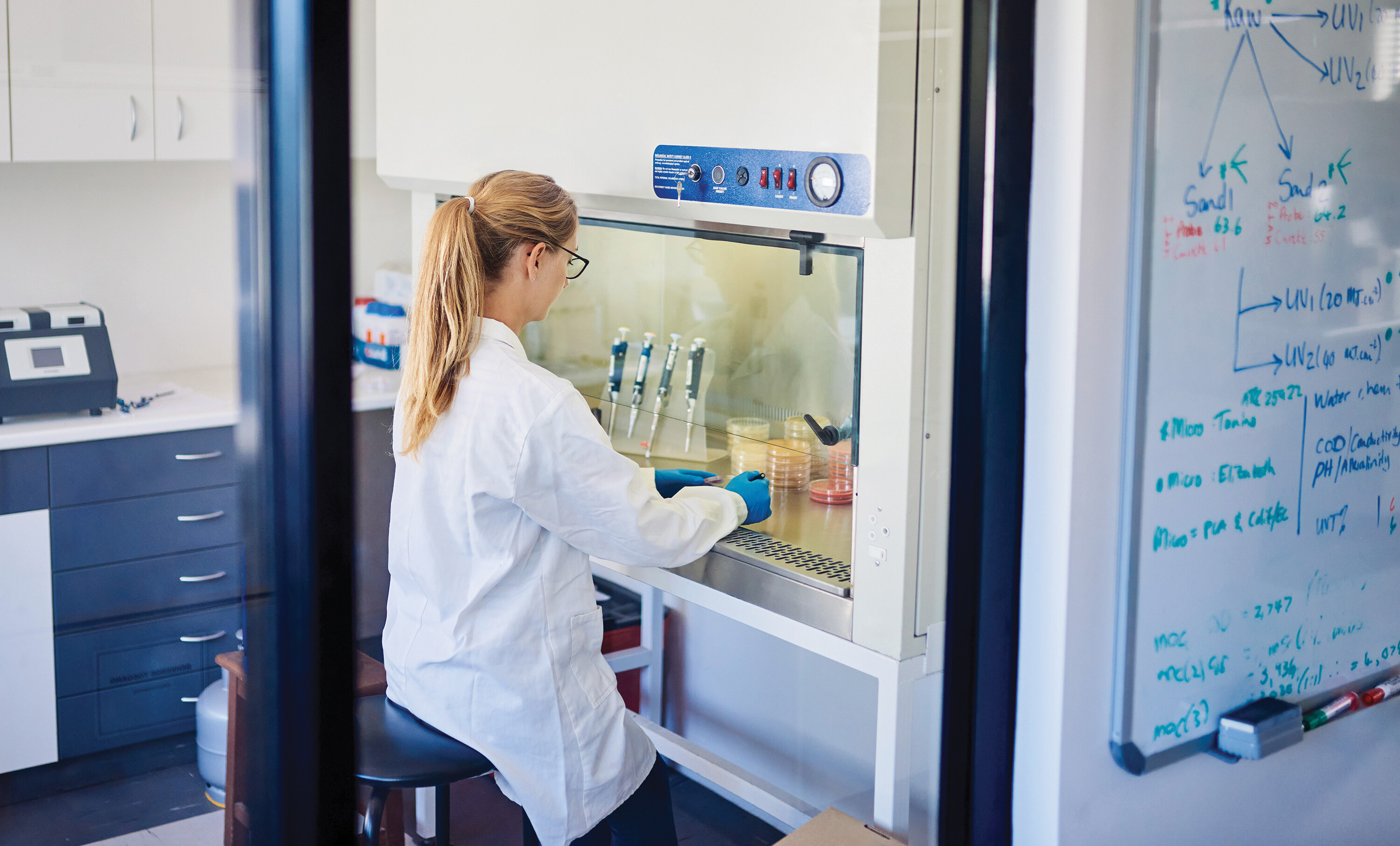 A photo of a scientist working in a biological safety cabinet.