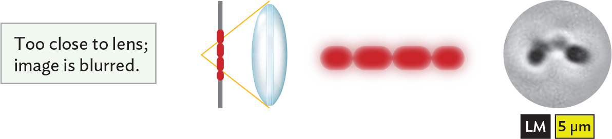 An illustration showing that an image is blurred when the object is too close to the lens.