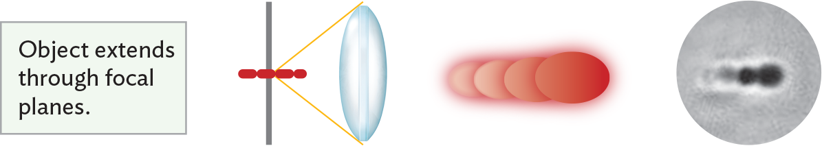An illustration showing multiple image effects when an object extends through focal planes.
