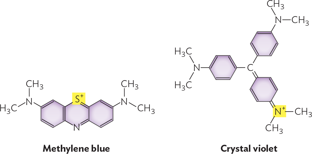 Illustrations of the chemical structures of methylene blue and crystal violet.