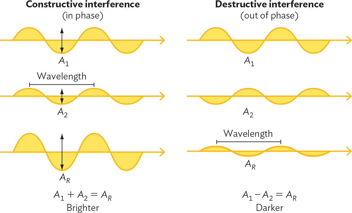 An illustration of constructive, or additive, and destructive, or subtractive, interference of light waves.
