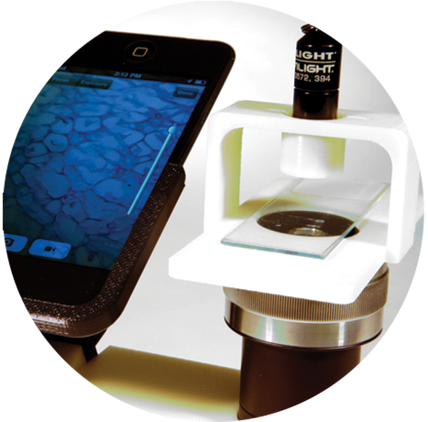 A photo of a cell phone and a very small microscope with a glass slide under it.