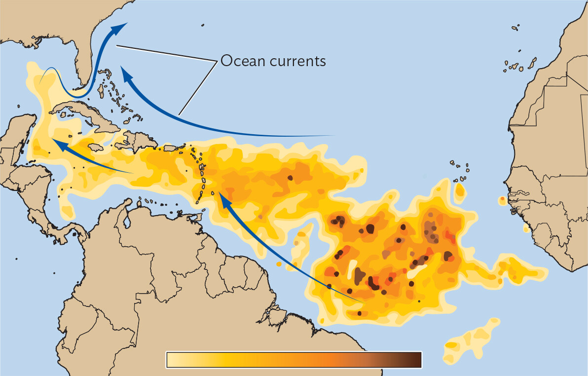A map of the Sargassum blob in the waters off the coasts of Florida, Mexico, and northeastern South America.