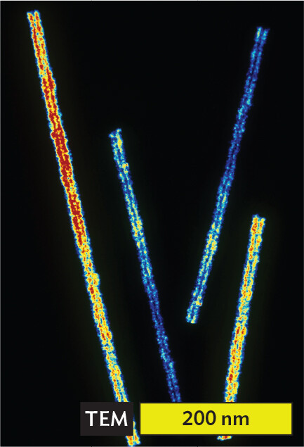 A transmission electron micrograph of tobacco mosaic virus particles.