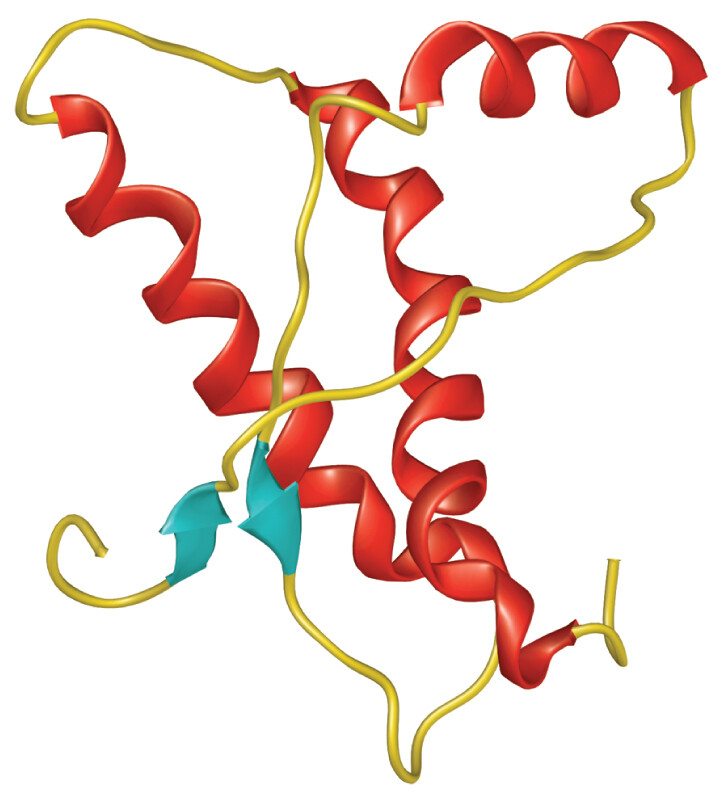 An illustrated ribbon model of the conformation of a normal protein.