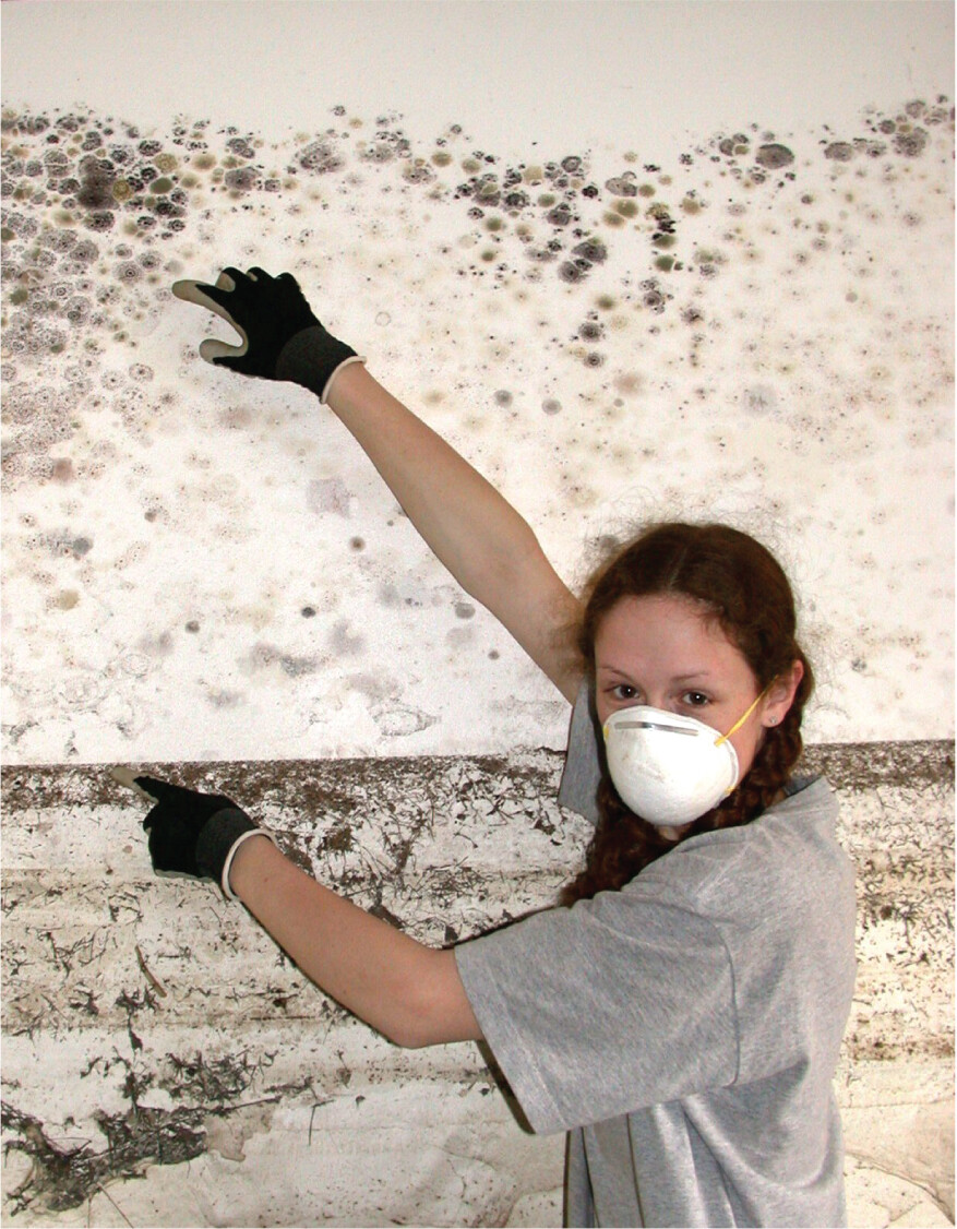 A photo of a student pointing to mold on a wall.