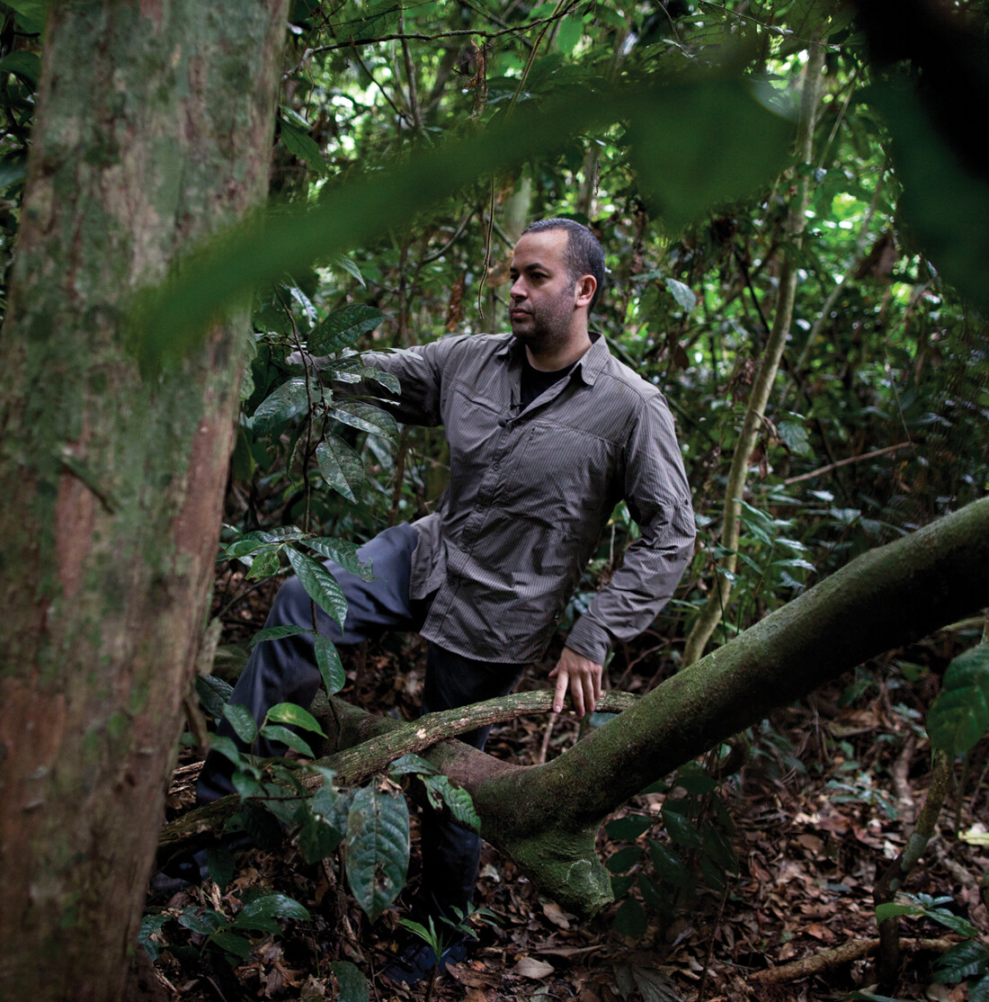 A photo of Professor Nathan Wolfe walking through a dense, forested area.