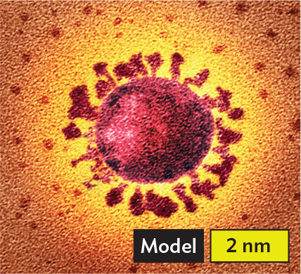 A digital model of Coronavirus.