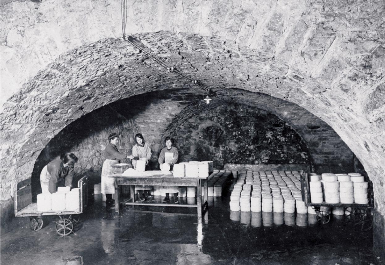 Two photographs provide examples of production and destruction by microbes. A photograph of the ripening step of the cheese production process.