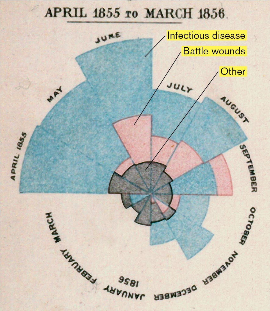 A pie chart of mortality data from April 1855 to March 1856.