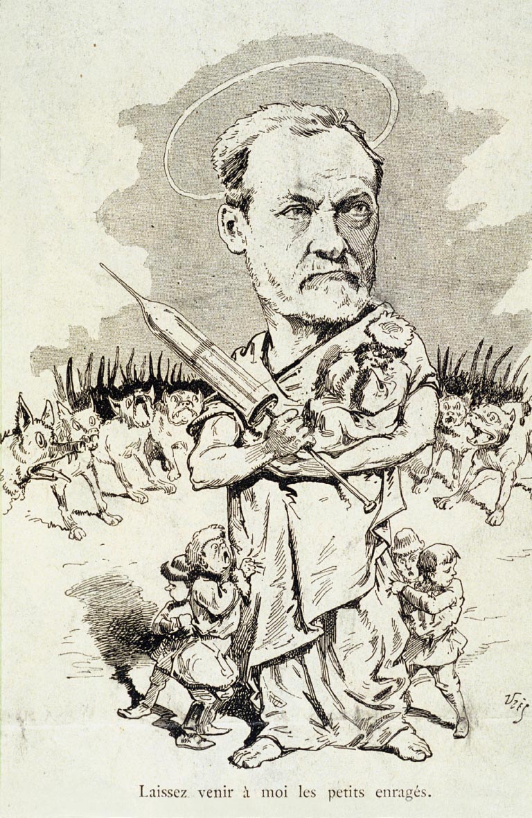 A caricature depicts an angelic Louis Pasteur wielding a syringe and shielding children against rabid dogs.