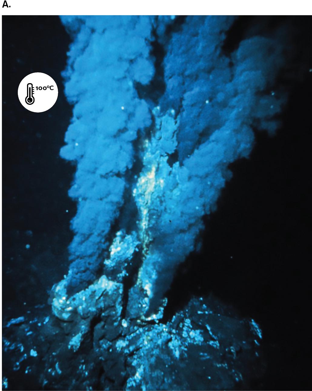 Three images related to the thermophilic archaeon Geogemma barossii are shown. Image A is a photograph of sulfide plumes rising from an ocean hydrothermal vent.