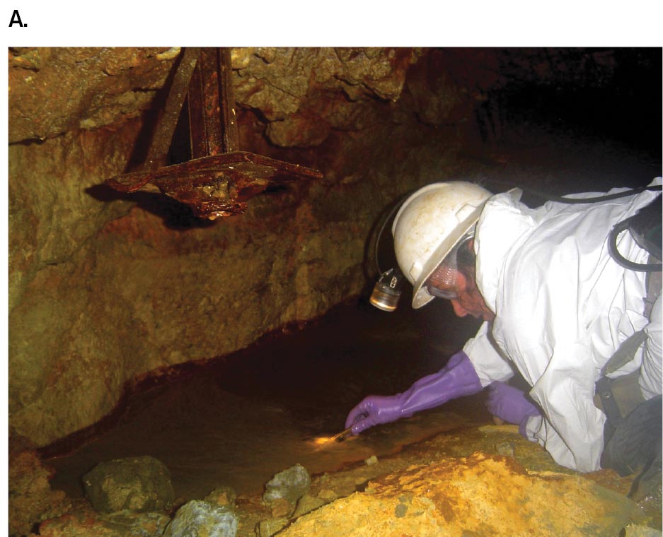 A photograph of Jillian Banfield sampling in a cave and a micrograph of an ultrasmall bacterium. A photograph of Jillian Banfield sampling in a cave.