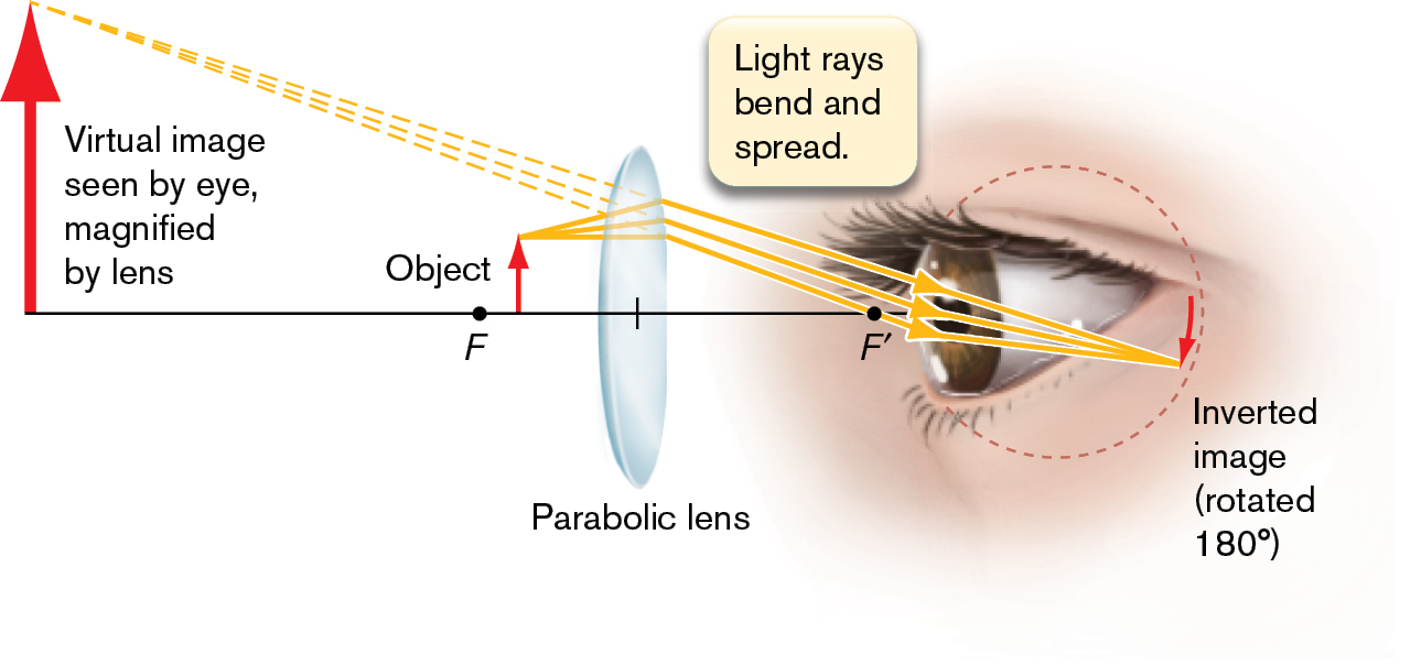 An illustration shows the magnification of an image through a lens.