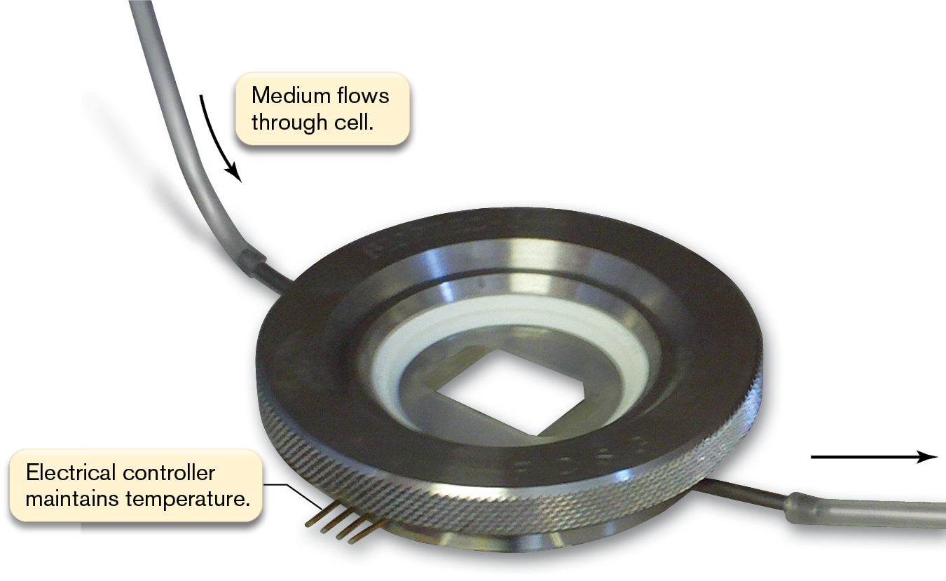 A photo of a flow cell.