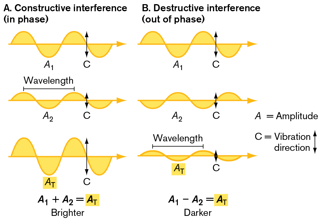 Two illustrations depict phase interference. An illustration shows constructive interference, or in phase interference. An illustration shows destructive interference, or out of phase interference.