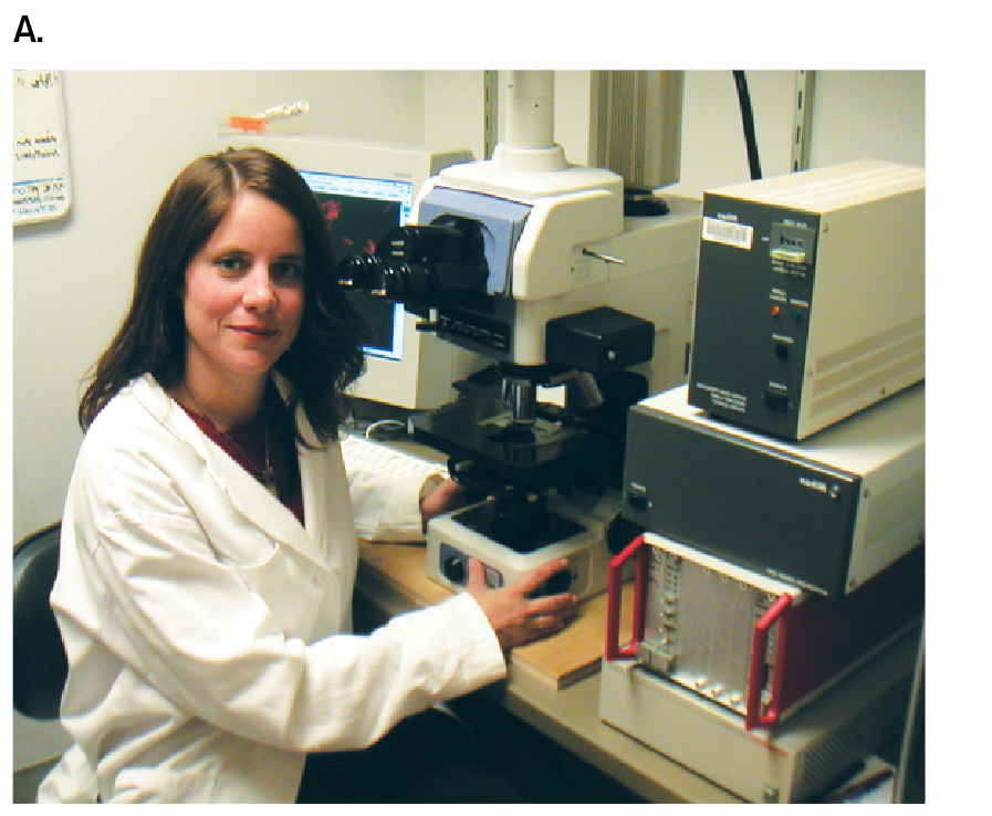 A photo of a scientist using a fluorescence microscope and a fluorescence micrograph are shown. A photo shows Melanie Berkmen using a fluorescence microscope.