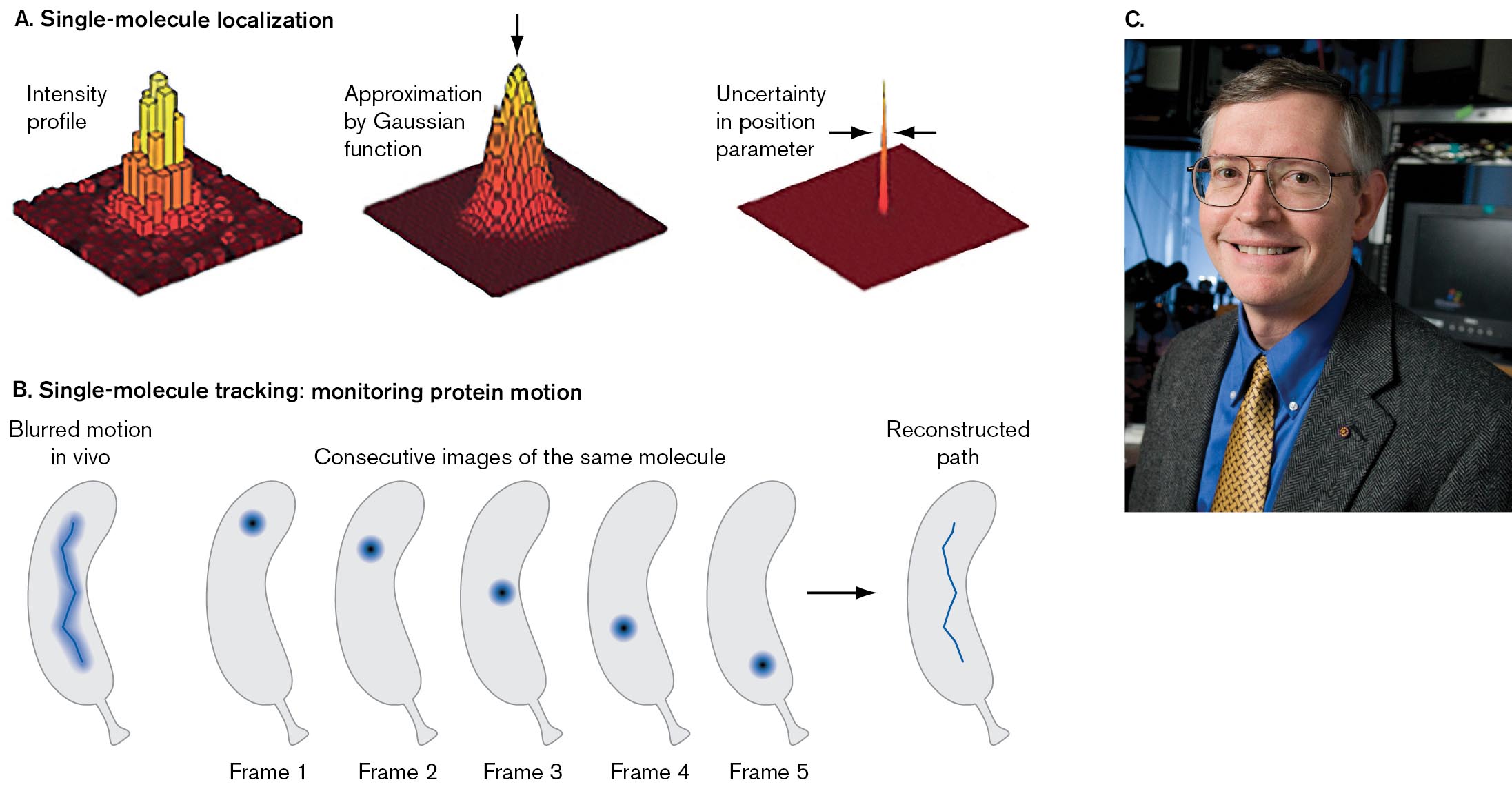 Two illustrations describe single-molecule localization. A photo of William Moerner accompanies the illustrations. An illustration depicts single-molecule localization. An illustration of single-molecule tracking: monitoring protein motion. A photo shows William Moerner.