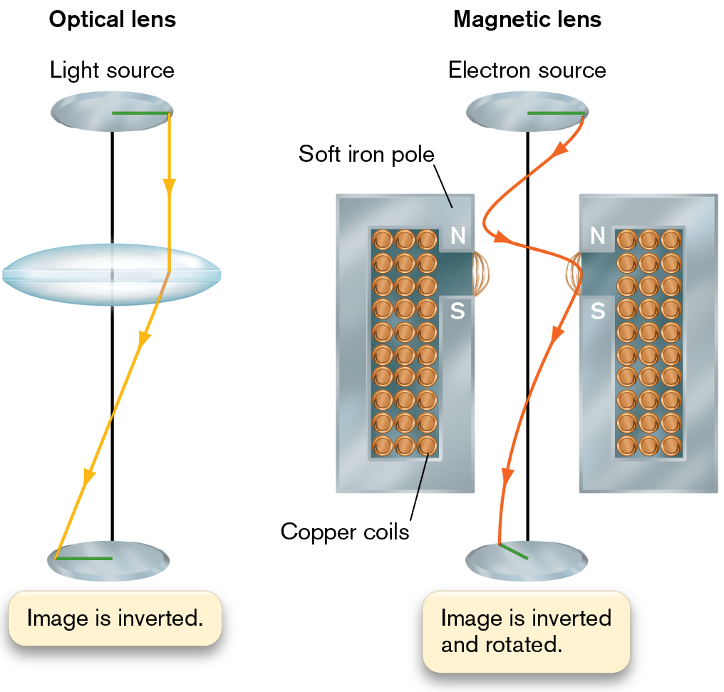 An illustration of an optical lens next to a magnetic lens.