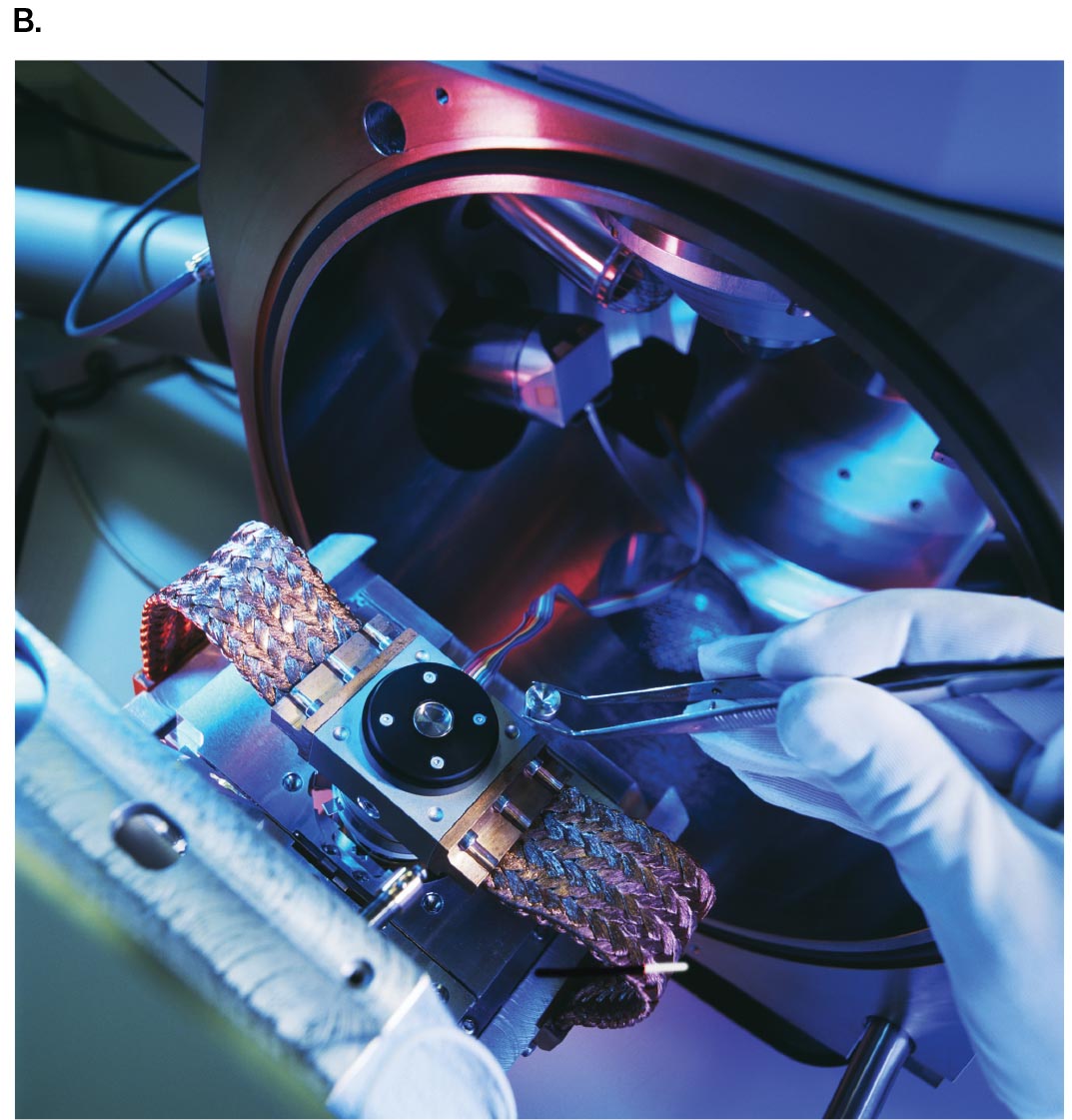 A photo shows a human hand inserting a specimen into the vacuum column of the scanning electron microscope.