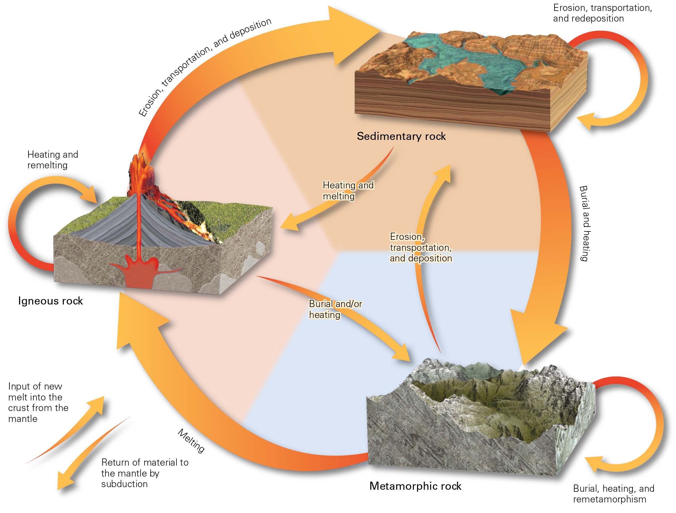 2.8 Geologic Time and Global Change
