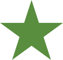Part 8 symbol green star