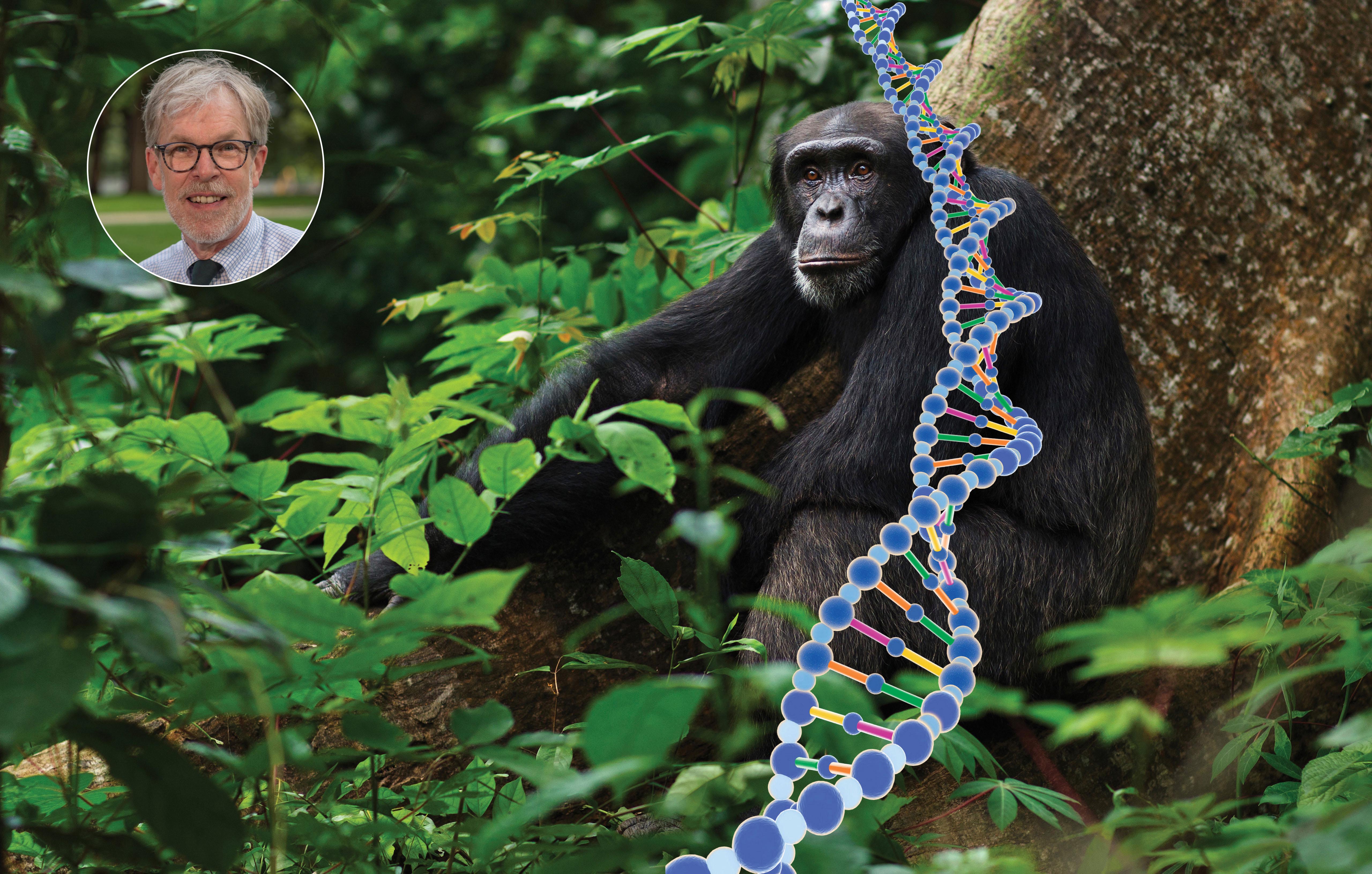 3: Genetics and Genomics: Reproducing Life and Producing Variation