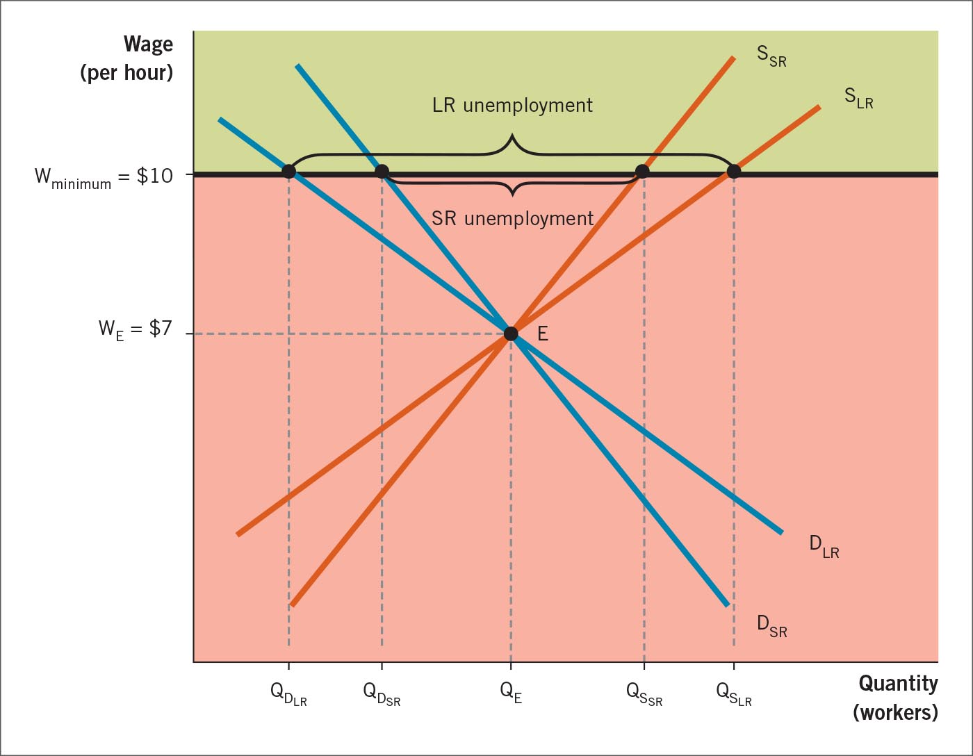 Minimum wage in the short run and the long run.