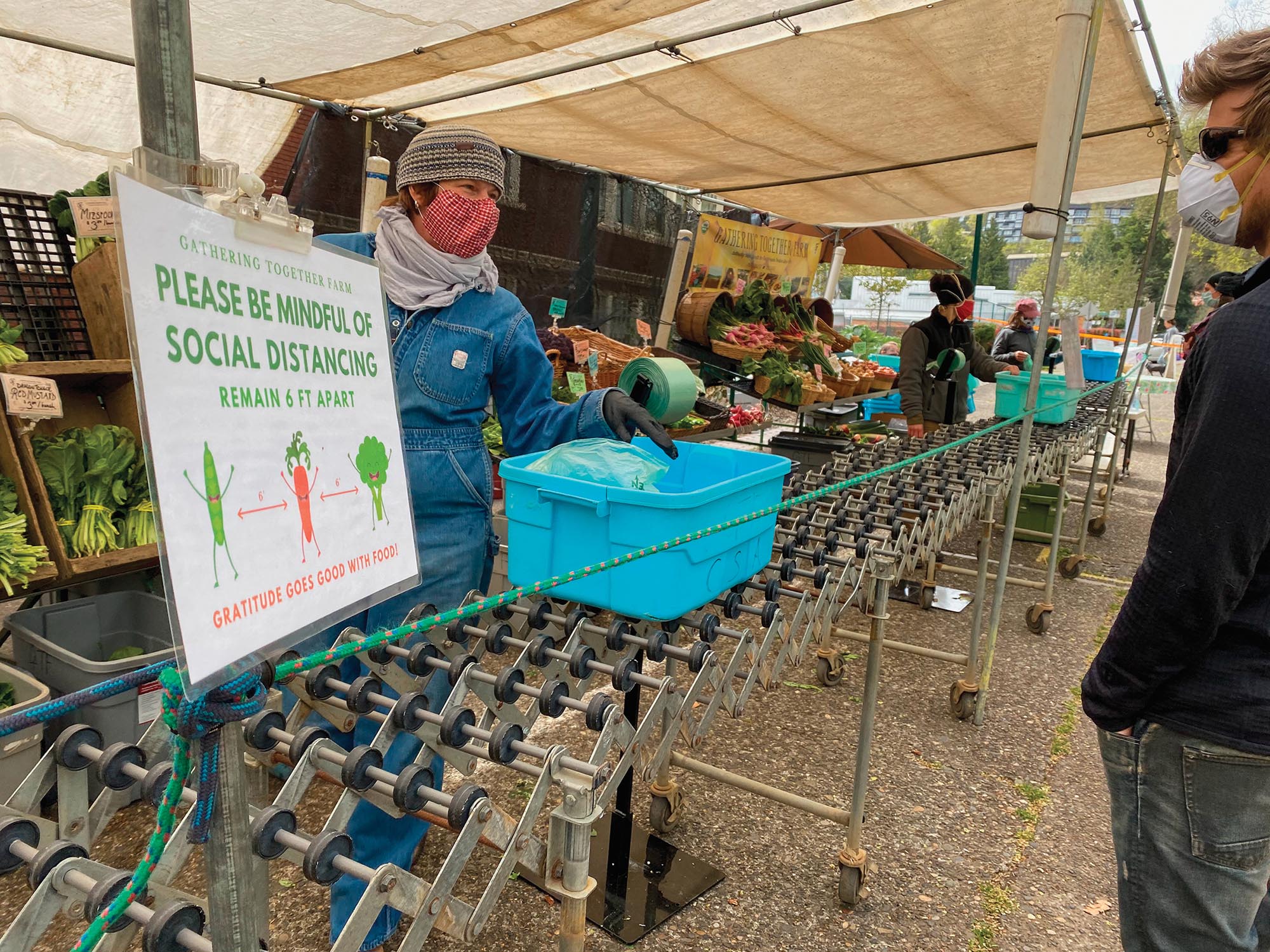 A worker at a farmers market fills a plastic bin with produce for a customer.