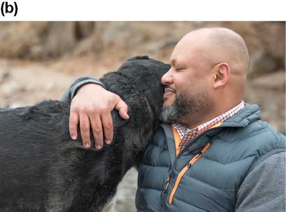 A bald man hugging a dog.