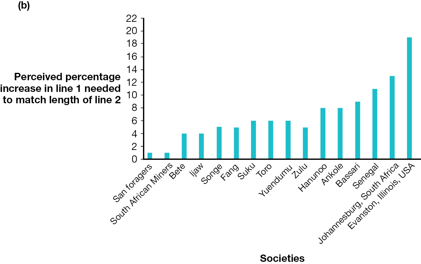 A bar graph depicts the perception of the Muller-Lyon illusion across cultures.