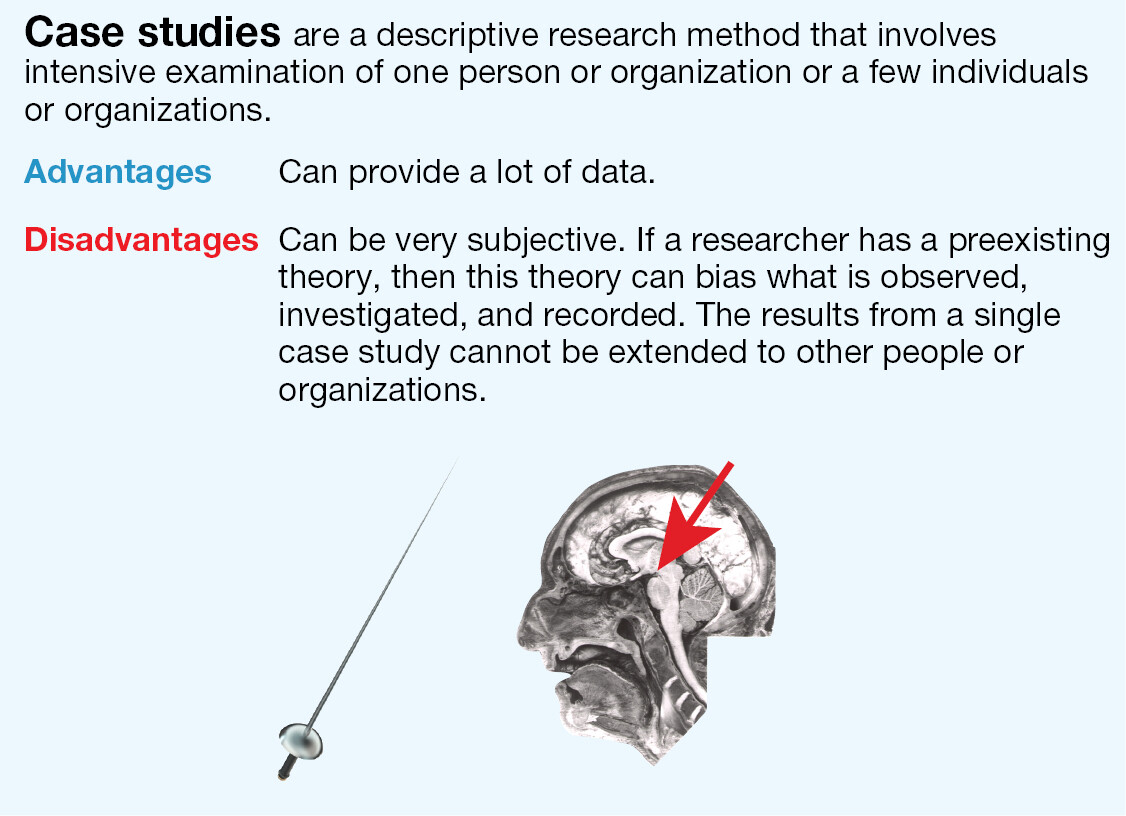 A box explaining Case Studies.