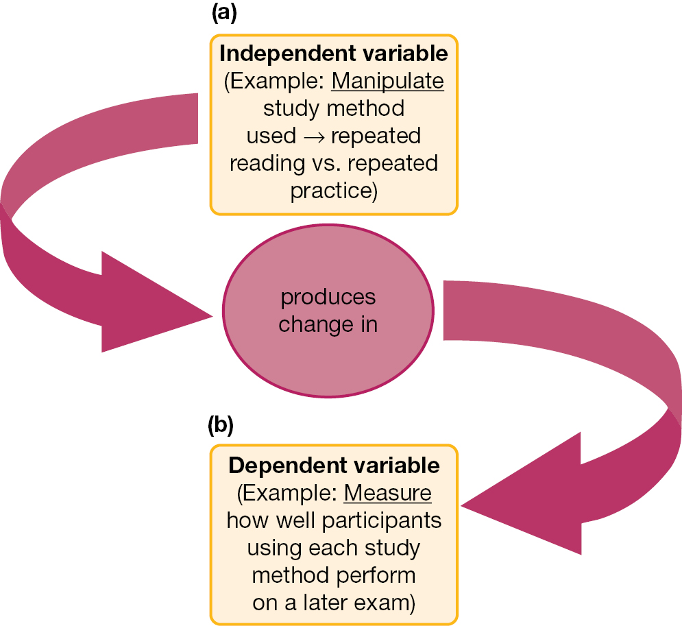 20.2020 Experimental Methods Test Causation