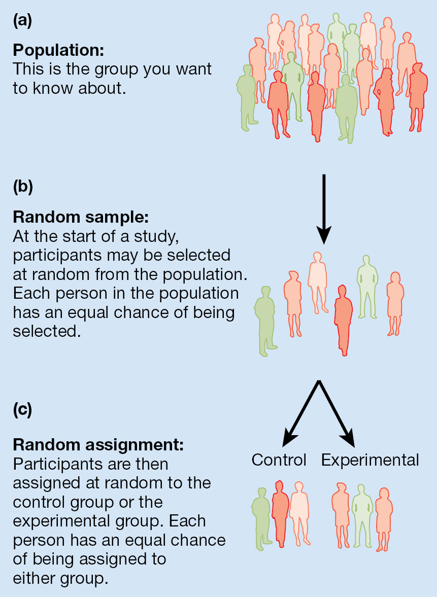 An info graphic explaining random assignment and sampling.