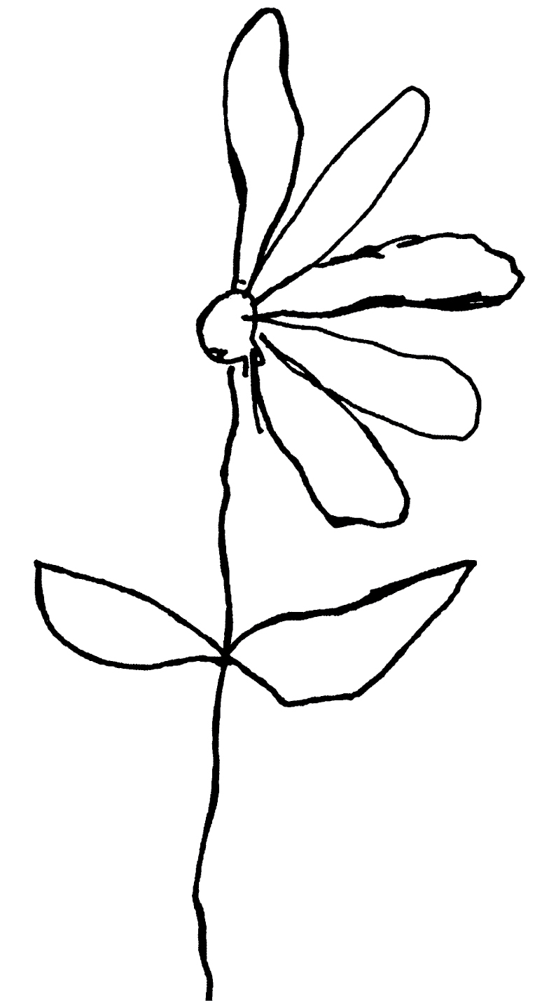 A drawing of a flower where there are only petals on the right half of the ovule.