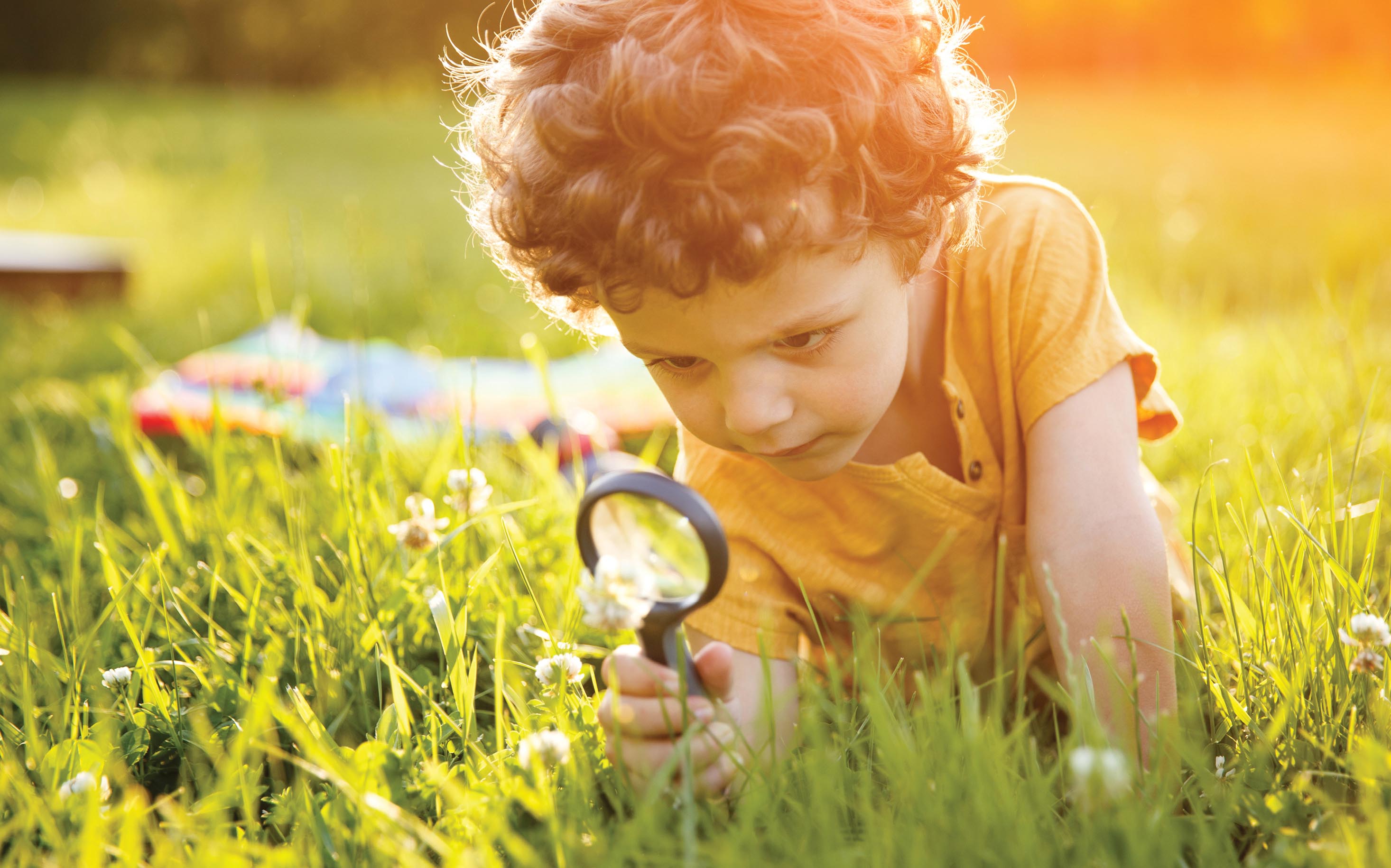 A photo of a small kid looking at the grasses through a magnifying lens.