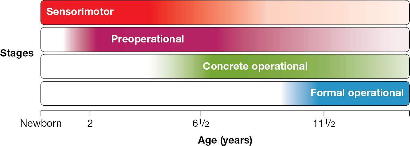 4.5 Infants and Children Change Cognitively