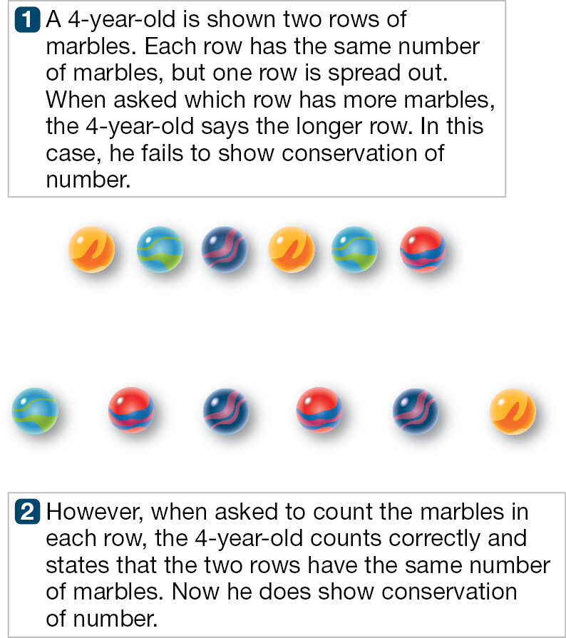 An image depicts a conservation task based on the number.
