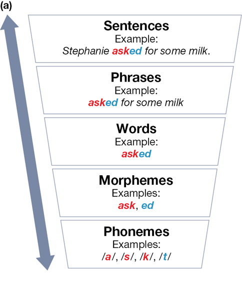 An image of the chart of the hierarchy of language.