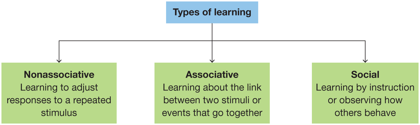 Learning Associative Learning How Do We Learn? / 6.1 Learning Results from Experience