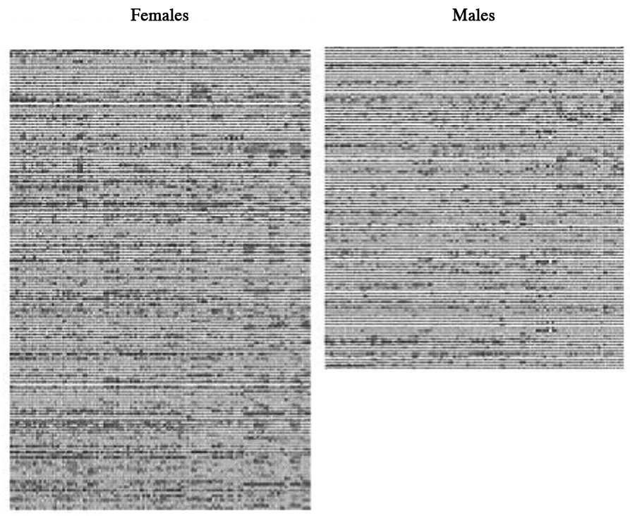 An illustration shows the brain mosaic of females and males. It consists of several closely-placed horizontal lines depicted in columns and alternating shades of black and gray. The brain mosaic of females appears longer than that of males.