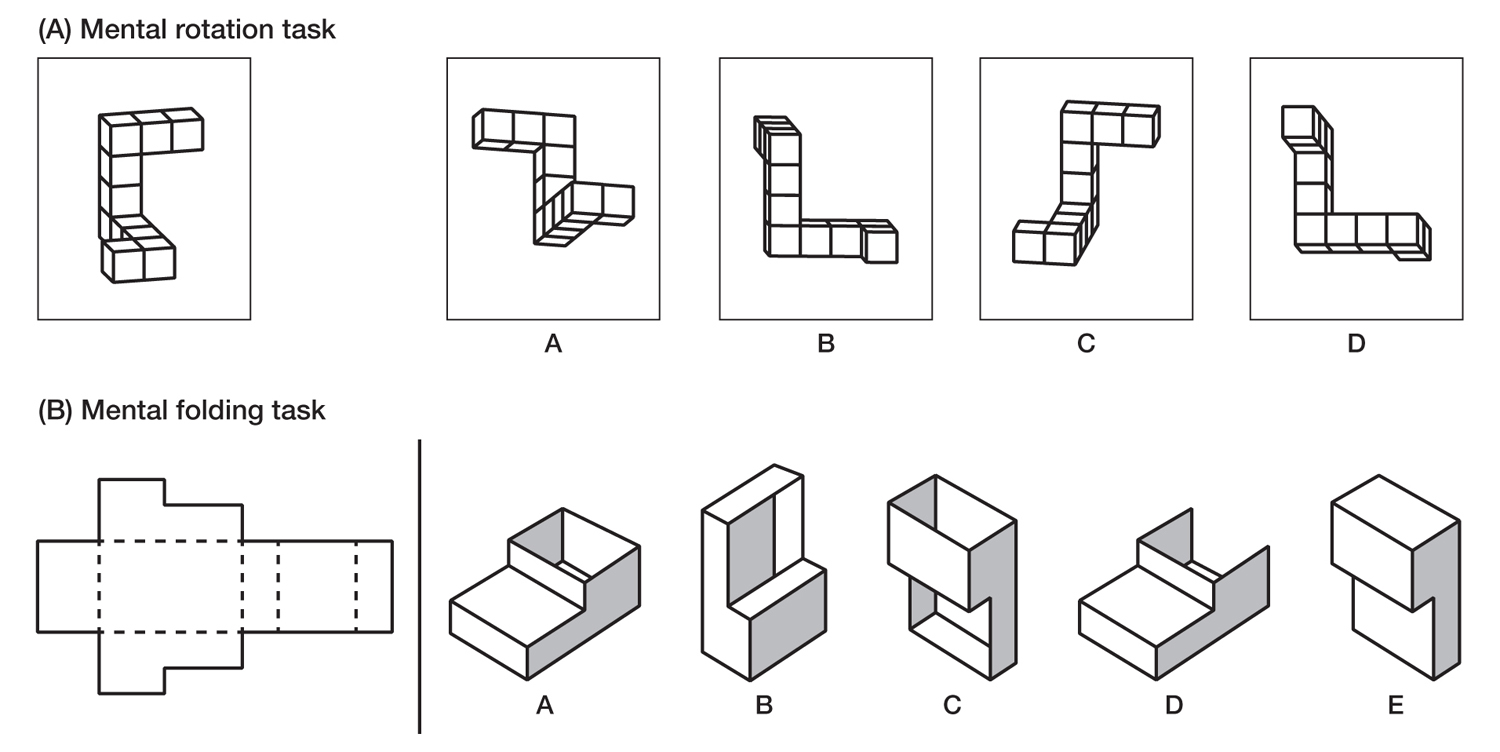 A composite of two illustrations depicts a mental rotation task and a mental folding task.